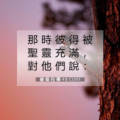 Picture 07 - 使 徒 行 傳 4:8 CUVT - 那 時 彼 得 被 聖 靈 充 滿 ， 對 他 - Bible Verse Picture