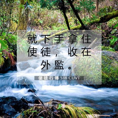 Picture 07 - 使 徒 行 傳 5:18 CUVT - 就 下 手 拿 住 使 徒 ， 收 在 外 監 - Bible Verse Picture