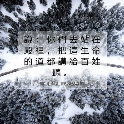 Picture 07 - 使 徒 行 傳 5:20 CUVT - 說 ： 你 們 去 站 在 殿 裡 ， 把 這 - Bible Verse Picture