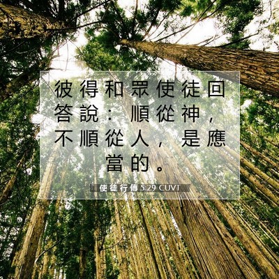 Picture 07 - 使 徒 行 傳 5:29 CUVT - 彼 得 和 眾 使 徒 回 答 說 ： 順 從 - Bible Verse Picture
