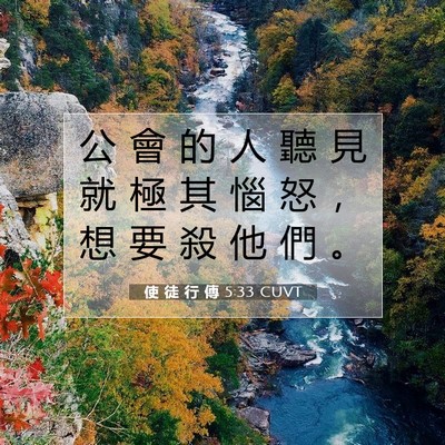 Picture 07 - 使 徒 行 傳 5:33 CUVT - 公 會 的 人 聽 見 就 極 其 惱 怒 ， - Bible Verse Picture