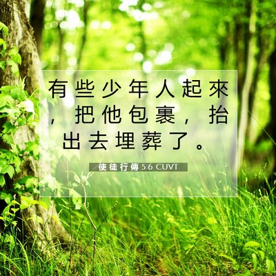 Picture 07 - 使 徒 行 傳 5:6 CUVT - 有 些 少 年 人 起 來 ， 把 他 包 裹 - Bible Verse Picture