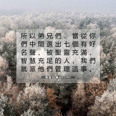 Picture 07 - 使 徒 行 傳 6:3 CUVT - 所 以 弟 兄 們 ， 當 從 你 們 中 間 - Bible Verse Picture