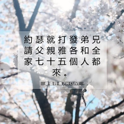 Picture 07 - 使 徒 行 傳 7:14 CUVT - 約 瑟 就 打 發 弟 兄 請 父 親 雅 各 - Bible Verse Picture