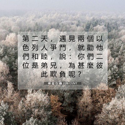 Picture 07 - 使 徒 行 傳 7:26 CUVT - 第 二 天 ， 遇 見 兩 個 以 色 列 人 - Bible Verse Picture