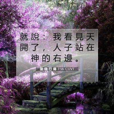 Picture 07 - 使 徒 行 傳 7:56 CUVT - 就 說 ： 我 看 見 天 開 了 ， 人 子 - Bible Verse Picture