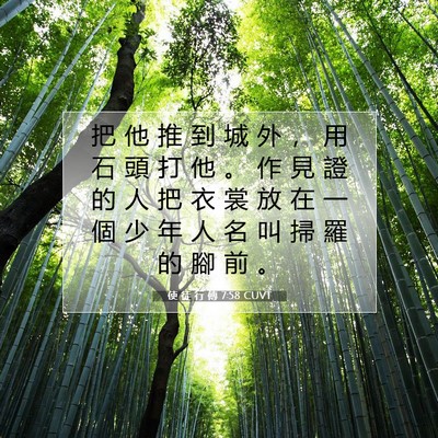 Picture 07 - 使 徒 行 傳 7:58 CUVT - 把 他 推 到 城 外 ， 用 石 頭 打 他 - Bible Verse Picture