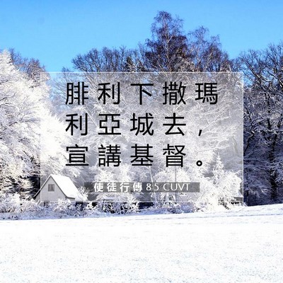 Picture 07 - 使 徒 行 傳 8:5 CUVT - 腓 利 下 撒 瑪 利 亞 城 去 ， 宣 講 - Bible Verse Picture