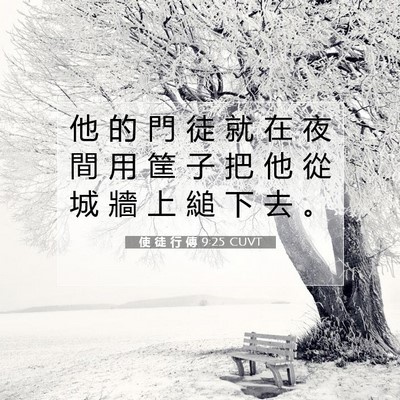 Picture 07 - 使 徒 行 傳 9:25 CUVT - 他 的 門 徒 就 在 夜 間 用 筐 子 把 - Bible Verse Picture