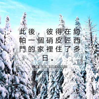 Picture 07 - 使 徒 行 傳 9:43 CUVT - 此 後 ， 彼 得 在 約 帕 一 個 硝 皮 - Bible Verse Picture