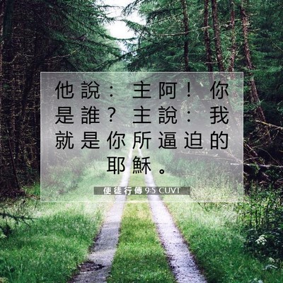 Picture 07 - 使 徒 行 傳 9:5 CUVT - 他 說 ： 主 阿 ！ 你 是 誰 ？ 主 說 - Bible Verse Picture