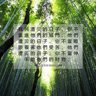 Picture 07 - 俄 巴 底 亞 書 1:13 CUVT - 我 民 遭 災 的 日 子 ， 你 不 當 進 - Bible Verse Picture