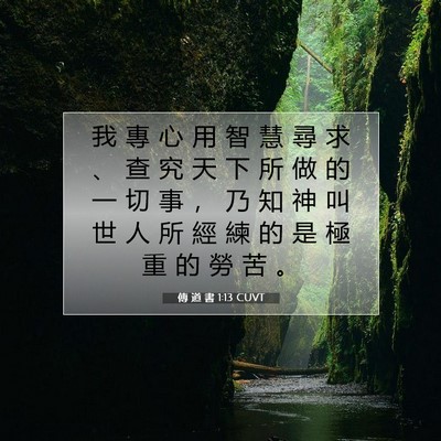 Picture 07 - 傳 道 書 1:13 CUVT - 我 專 心 用 智 慧 尋 求 、 查 究 天 - Bible Verse Picture