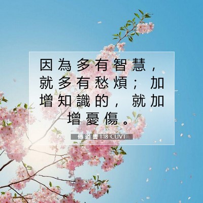Picture 07 - 傳 道 書 1:18 CUVT - 因 為 多 有 智 慧 ， 就 多 有 愁 煩 - Bible Verse Picture