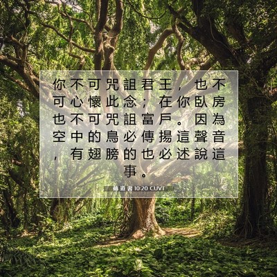 Picture 07 - 傳 道 書 10:20 CUVT - 你 不 可 咒 詛 君 王 ， 也 不 可 心 - Bible Verse Picture