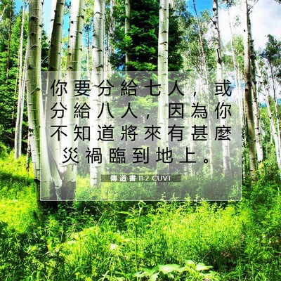 Picture 07 - 傳 道 書 11:2 CUVT - 你 要 分 給 七 人 ， 或 分 給 八 人 - Bible Verse Picture