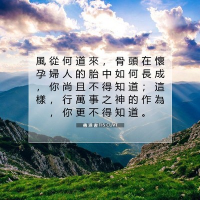 Picture 07 - 傳 道 書 11:5 CUVT - 風 從 何 道 來 ， 骨 頭 在 懷 孕 婦 - Bible Verse Picture