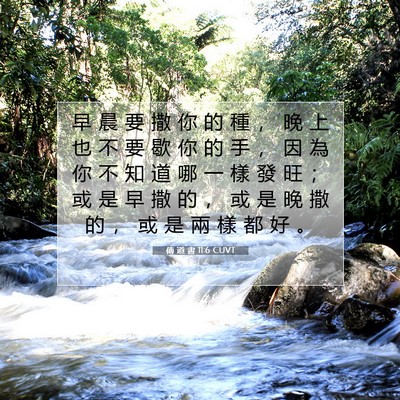 Picture 07 - 傳 道 書 11:6 CUVT - 早 晨 要 撒 你 的 種 ， 晚 上 也 不 - Bible Verse Picture