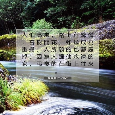Picture 07 - 傳 道 書 12:5 CUVT - 人 怕 高 處 ， 路 上 有 驚 慌 ， 杏 - Bible Verse Picture