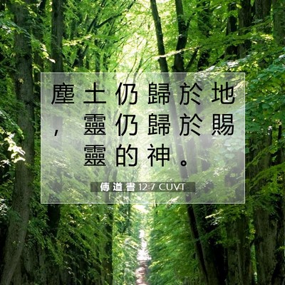 Picture 07 - 傳 道 書 12:7 CUVT - 塵 土 仍 歸 於 地 ， 靈 仍 歸 於 賜 - Bible Verse Picture