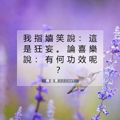 Picture 07 - 傳 道 書 2:2 CUVT - 我 指 嬉 笑 說 ： 這 是 狂 妄 。 論 - Bible Verse Picture