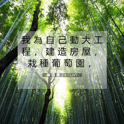 Picture 07 - 傳 道 書 2:4 CUVT - 我 為 自 己 動 大 工 程 ， 建 造 房 - Bible Verse Picture