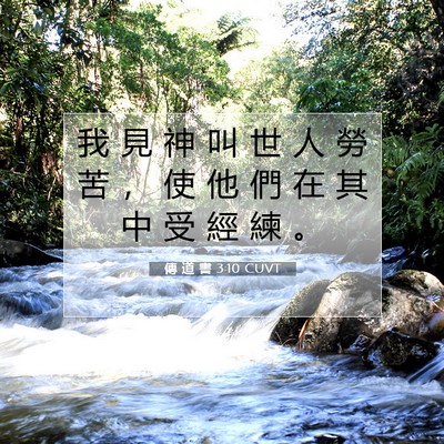 Picture 07 - 傳 道 書 3:10 CUVT - 我 見 神 叫 世 人 勞 苦 ， 使 他 們 - Bible Verse Picture
