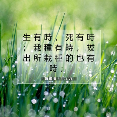 Picture 07 - 傳 道 書 3:2 CUVT - 生 有 時 ， 死 有 時 ； 栽 種 有 時 - Bible Verse Picture