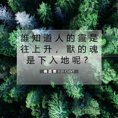 Picture 07 - 傳 道 書 3:21 CUVT - 誰 知 道 人 的 靈 是 往 上 升 ， 獸 - Bible Verse Picture