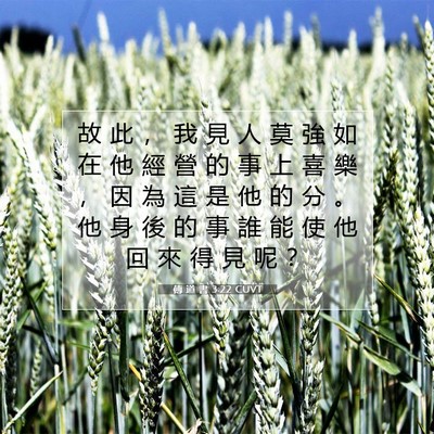 Picture 07 - 傳 道 書 3:22 CUVT - 故 此 ， 我 見 人 莫 強 如 在 他 經 - Bible Verse Picture