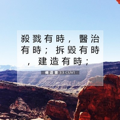 Picture 07 - 傳 道 書 3:3 CUVT - 殺 戮 有 時 ， 醫 治 有 時 ； 拆 毀 - Bible Verse Picture