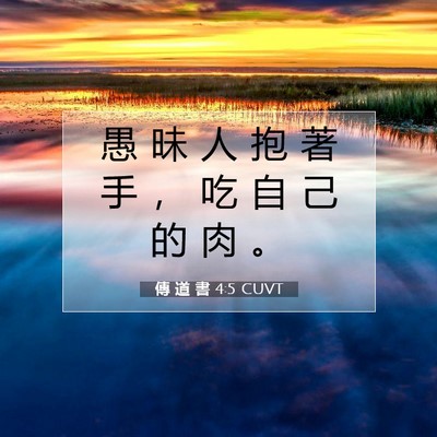 Picture 07 - 傳 道 書 4:5 CUVT - 愚 昧 人 抱 著 手 ， 吃 自 己 的 肉 - Bible Verse Picture