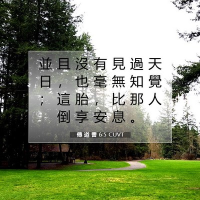 Picture 07 - 傳 道 書 6:5 CUVT - 並 且 沒 有 見 過 天 日 ， 也 毫 無 - Bible Verse Picture
