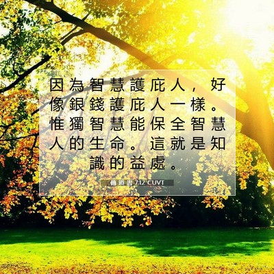 Picture 07 - 傳 道 書 7:12 CUVT - 因 為 智 慧 護 庇 人 ， 好 像 銀 錢 - Bible Verse Picture