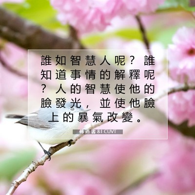 Picture 07 - 傳 道 書 8:1 CUVT - 誰 如 智 慧 人 呢 ？ 誰 知 道 事 情 - Bible Verse Picture