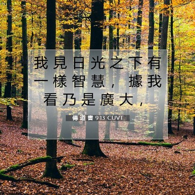 Picture 07 - 傳 道 書 9:13 CUVT - 我 見 日 光 之 下 有 一 樣 智 慧 ， - Bible Verse Picture
