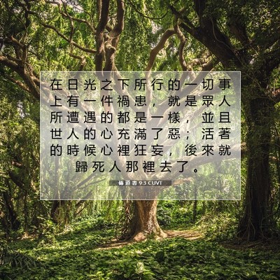 Picture 07 - 傳 道 書 9:3 CUVT - 在 日 光 之 下 所 行 的 一 切 事 上 - Bible Verse Picture