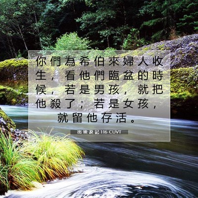 Picture 07 - 出 埃 及 記 1:16 CUVT - 你 們 為 希 伯 來 婦 人 收 生 ， 看 - Bible Verse Picture