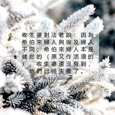 Picture 07 - 出 埃 及 記 1:19 CUVT - 收 生 婆 對 法 老 說 ： 因 為 希 伯 - Bible Verse Picture