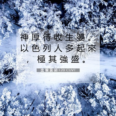 Picture 07 - 出 埃 及 記 1:20 CUVT - 神 厚 待 收 生 婆 。 以 色 列 人 多 - Bible Verse Picture
