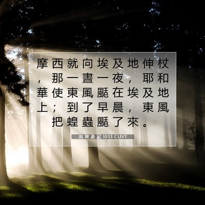Picture 07 - 出 埃 及 記 10:13 CUVT - 摩 西 就 向 埃 及 地 伸 杖 ， 那 一 - Bible Verse Picture