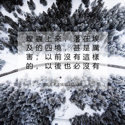 Picture 07 - 出 埃 及 記 10:14 CUVT - 蝗 蟲 上 來 ， 落 在 埃 及 的 四 境 - Bible Verse Picture