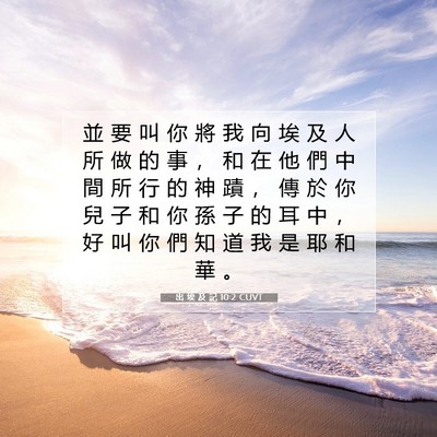Picture 07 - 出 埃 及 記 10:2 CUVT - 並 要 叫 你 將 我 向 埃 及 人 所 做 - Bible Verse Picture