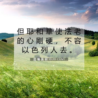 Picture 07 - 出 埃 及 記 10:20 CUVT - 但 耶 和 華 使 法 老 的 心 剛 硬 ， - Bible Verse Picture