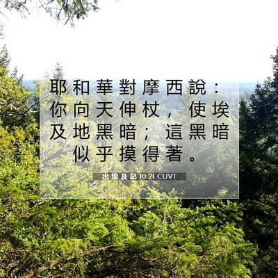 Picture 07 - 出 埃 及 記 10:21 CUVT - 耶 和 華 對 摩 西 說 ： 你 向 天 伸 - Bible Verse Picture