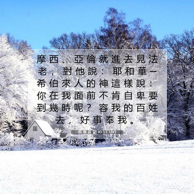 Picture 07 - 出 埃 及 記 10:3 CUVT - 摩 西 、 亞 倫 就 進 去 見 法 老 ， - Bible Verse Picture