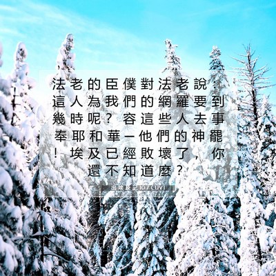 Picture 07 - 出 埃 及 記 10:7 CUVT - 法 老 的 臣 僕 對 法 老 說 ： 這 人 - Bible Verse Picture