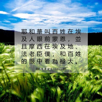 Picture 07 - 出 埃 及 記 11:3 CUVT - 耶 和 華 叫 百 姓 在 埃 及 人 眼 前 - Bible Verse Picture