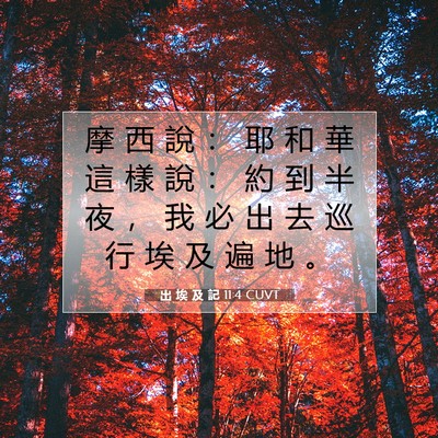 Picture 07 - 出 埃 及 記 11:4 CUVT - 摩 西 說 ： 耶 和 華 這 樣 說 ： 約 - Bible Verse Picture