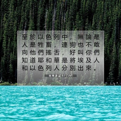 Picture 07 - 出 埃 及 記 11:7 CUVT - 至 於 以 色 列 中 ， 無 論 是 人 是 - Bible Verse Picture